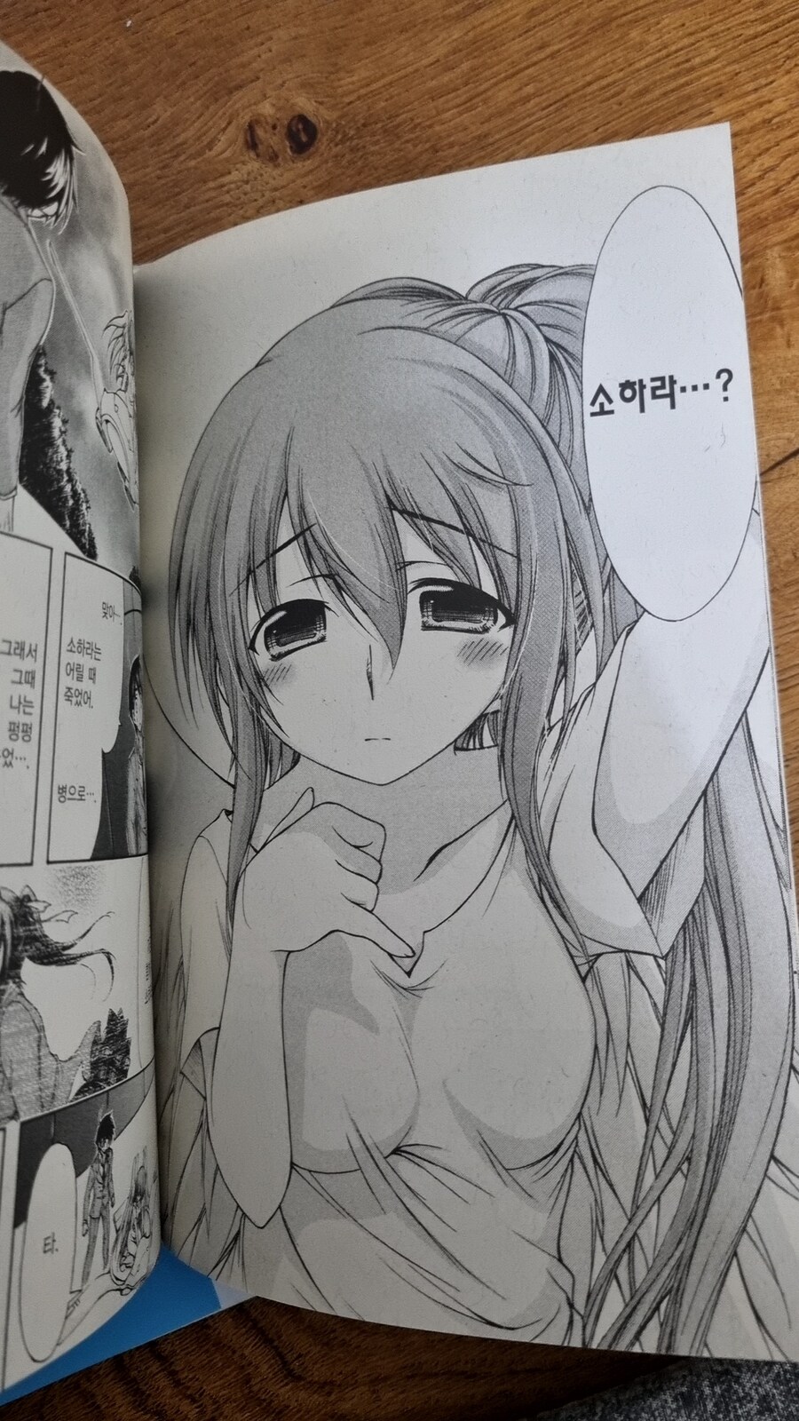 하늘의 유실물)애니 이후를 원작으로 보자.jpg_24.jpg