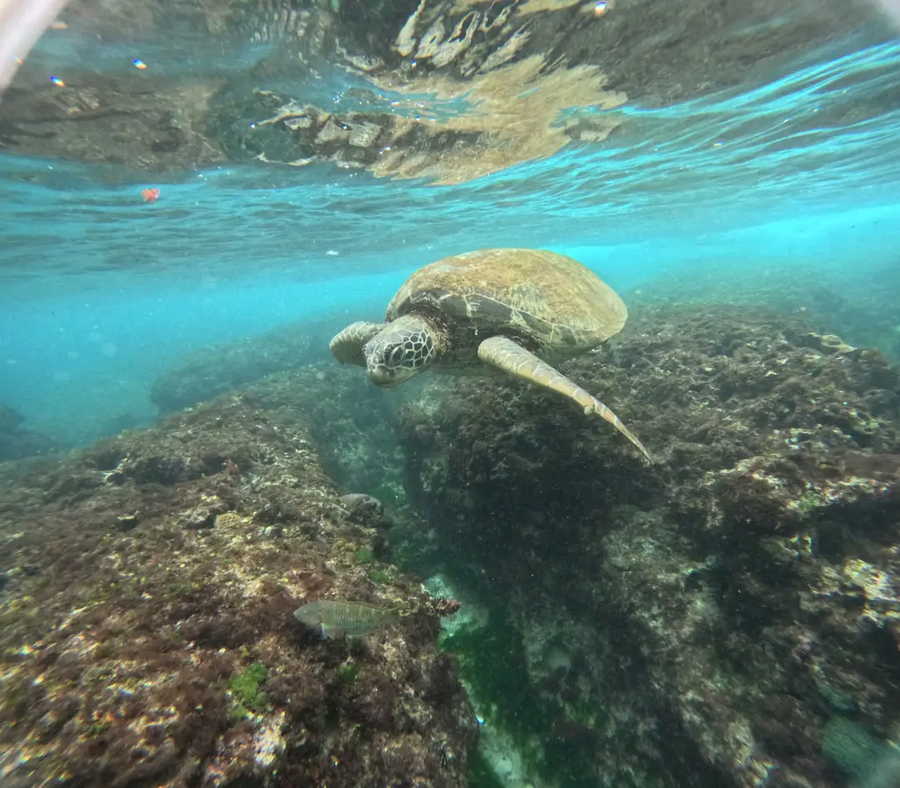 [대만]소류구 섬에서 먹은 것들_7.webp
