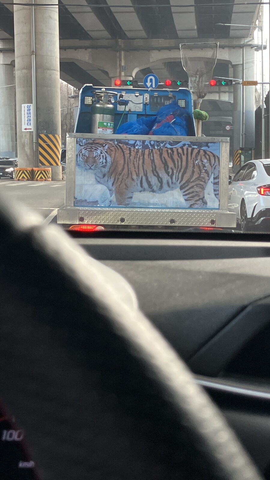 생선가게를 지키는 고양이_1.jpg