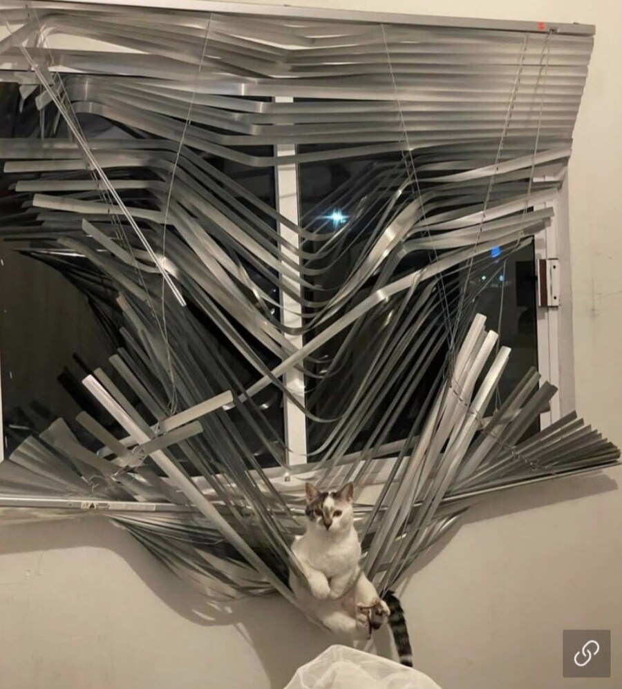 냥이 테러, 새벽에 일어났는데 이지경이 됏다.._1.jpg