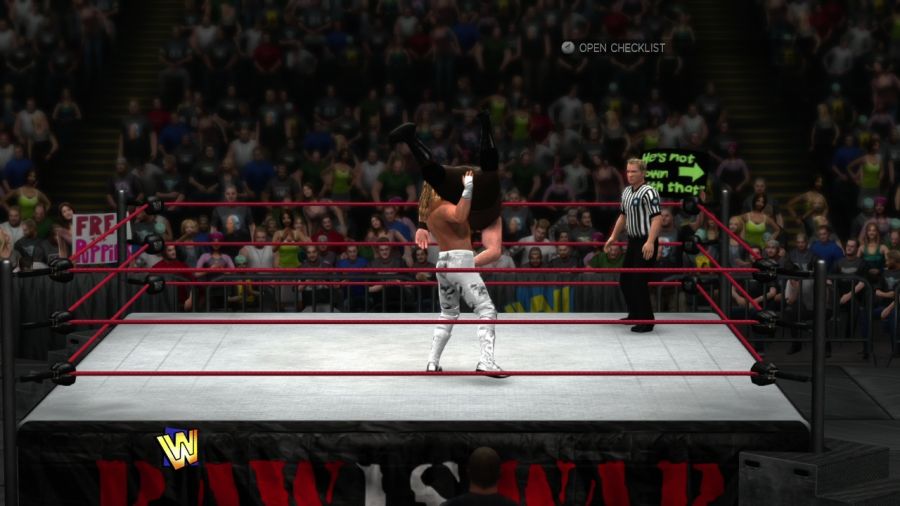 WWE'13_4.jpg