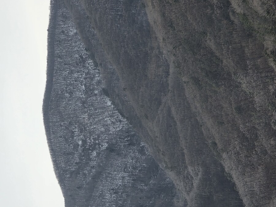 가족들과 하이원 그랜드 호텔 그랜드 테이블에 다녀왔습니다_14.jpg