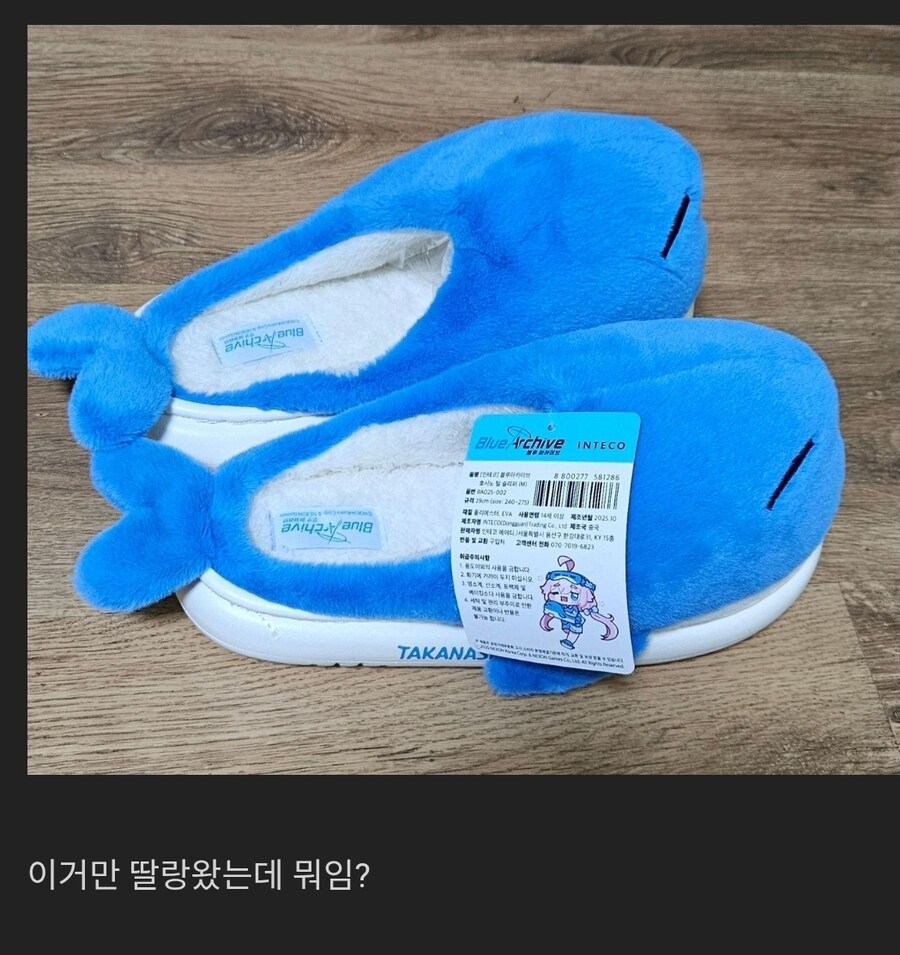 블루아카) 현재 호시노 슬리퍼 불량 이슈 근황_4.jpg