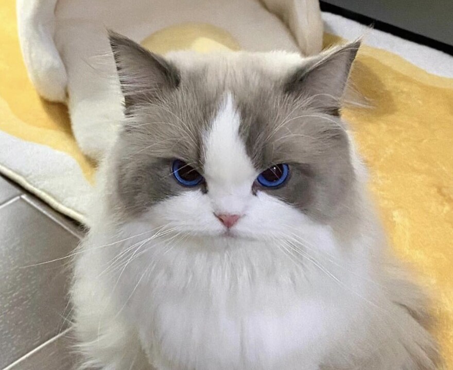 [유출] 6.3 맵 워프 포인트 위치 입니다_3.png