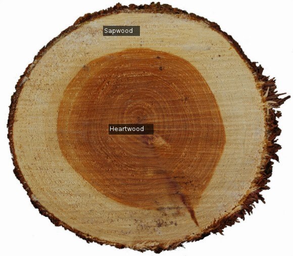 중국산 대전차 미사일이 불발난 원인._6.png