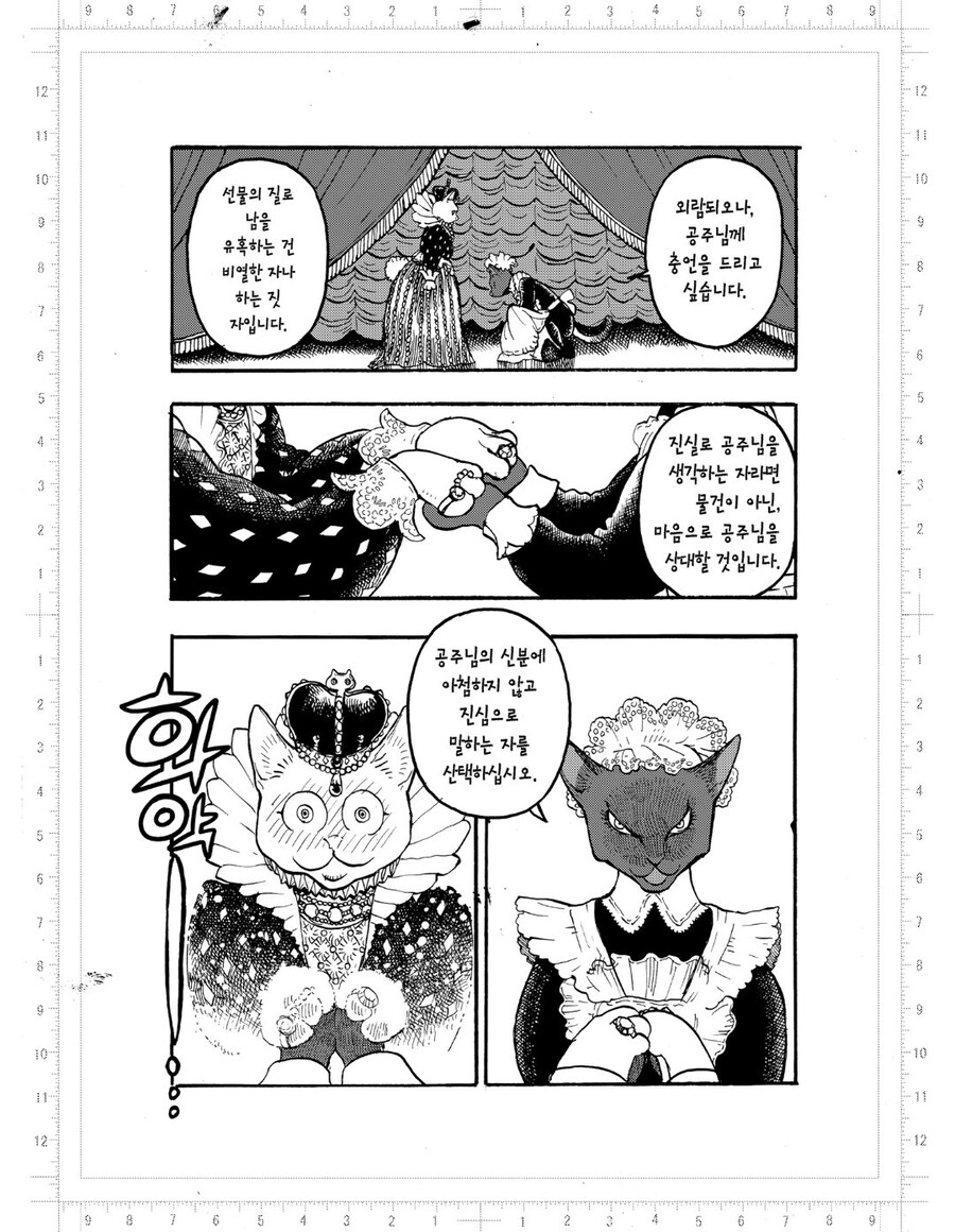 반하면 투명해지는 공주에게 구혼하는 왕자들 만화.manhwa_3.jpg