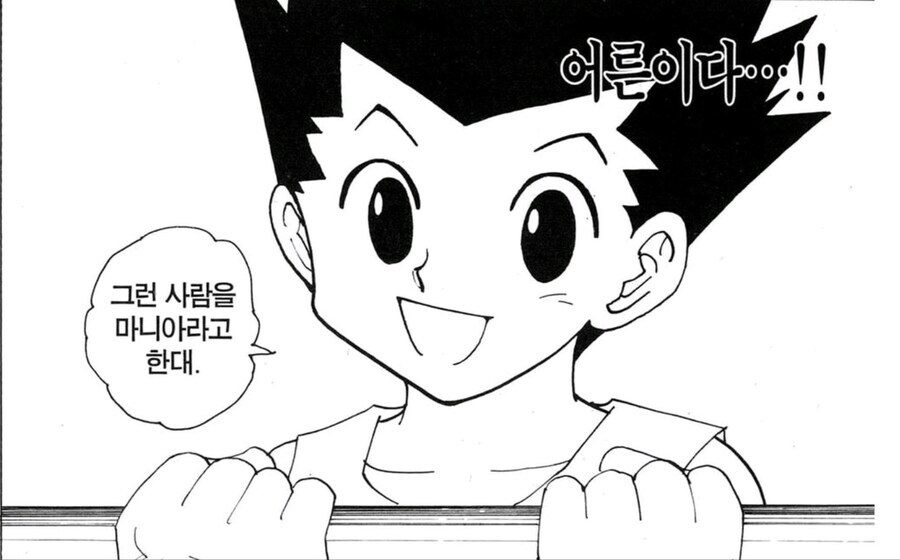 헌터X헌터) 잠깐나온 설정인데 위험해보임_6.jpg