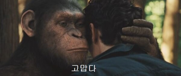 집근처 다이소 새로 생김_1.jpg