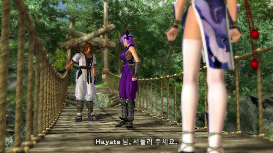 DEAD OR ALIVE 4_12.jpg