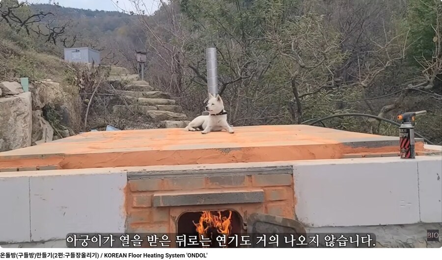 제대로 만들어졌는지 살아있는 개로 실험하는 무심한 사람_1.jpg