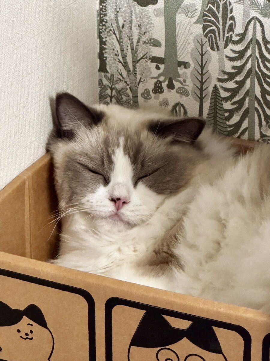 오랜만에 록희!_3.jpg