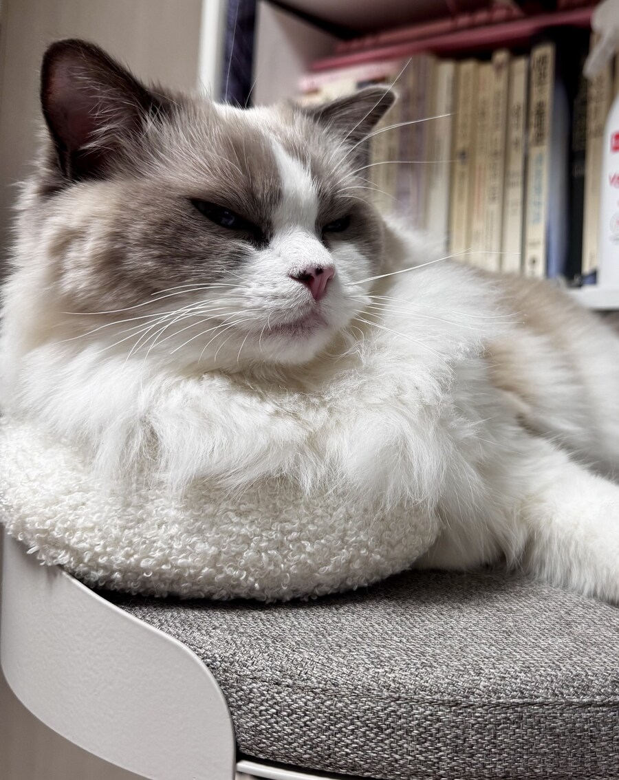 오랜만에 록희!_4.jpg