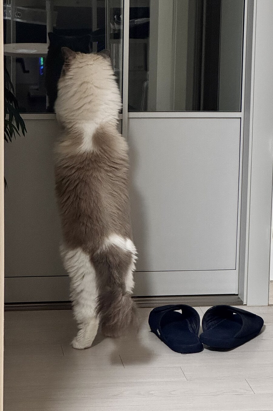 오랜만에 록희!_5.jpg