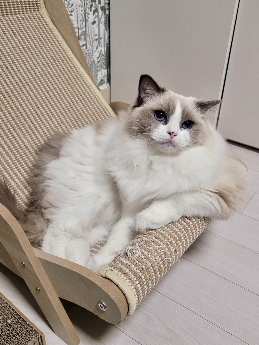 오랜만에 록희!_7.jpg