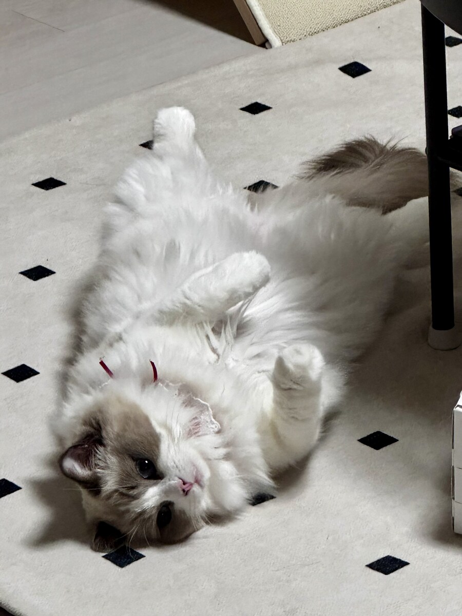 오랜만에 록희!_11.jpg