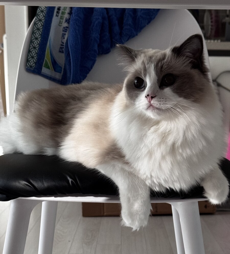 오랜만에 록희!_14.jpg