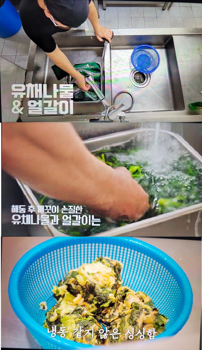 남극의약탈자들 마지막 메뉴, 비빔밥 재료_1.png