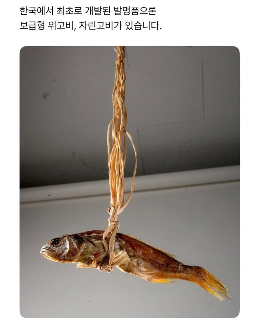 위고비보다 효과적이라는 것_1.jpg