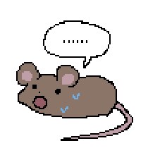 지금 환율에 대해 논하기 어려운 이유_3.png