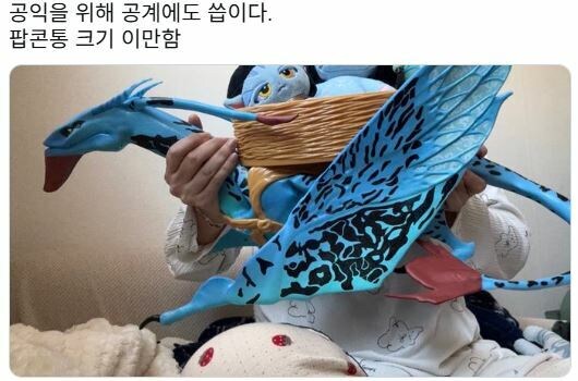 아바타 7만원짜리 팝콘통 크기_1.jpg