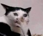 ㅇㅇㄱ) 스압주의) 또또 사이버불링 터져버린 이파리들_11.png