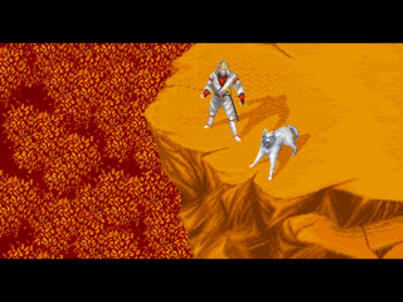 SHADOW DANCER_36.jpg