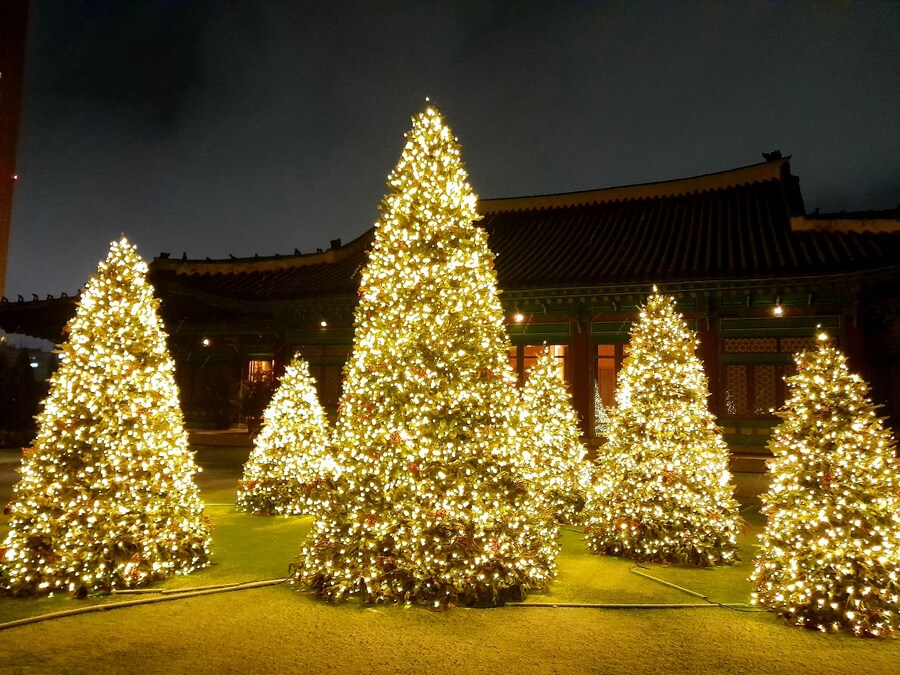 미리 크리스마스 트리보러 가볼만한곳들 (스압)_31.jpg