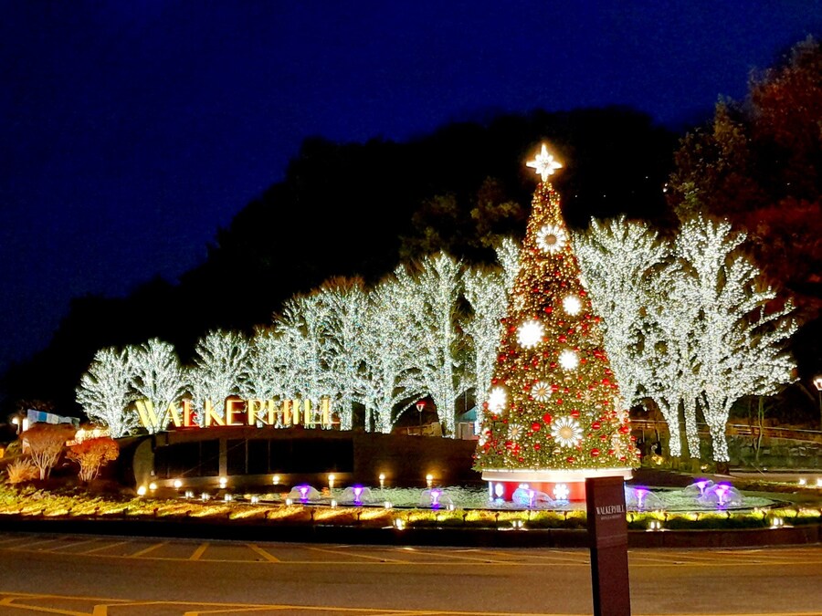 미리 크리스마스 트리보러 가볼만한곳들 (스압)_35.jpg