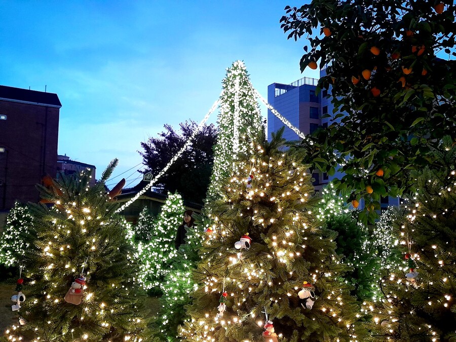 미리 크리스마스 트리보러 가볼만한곳들 (스압)_37.jpg