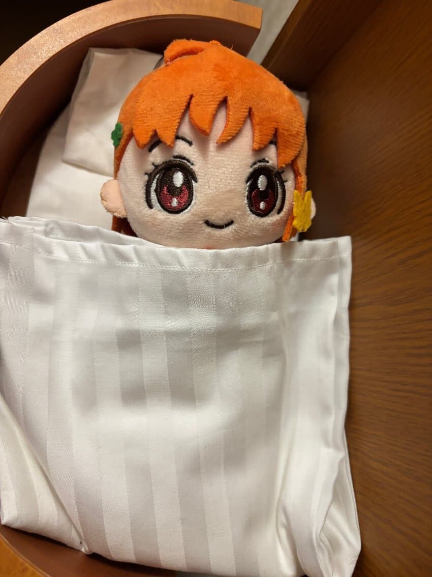 토요코인 인형 숙박세트 플랜을 신청해본 디씨인jpg