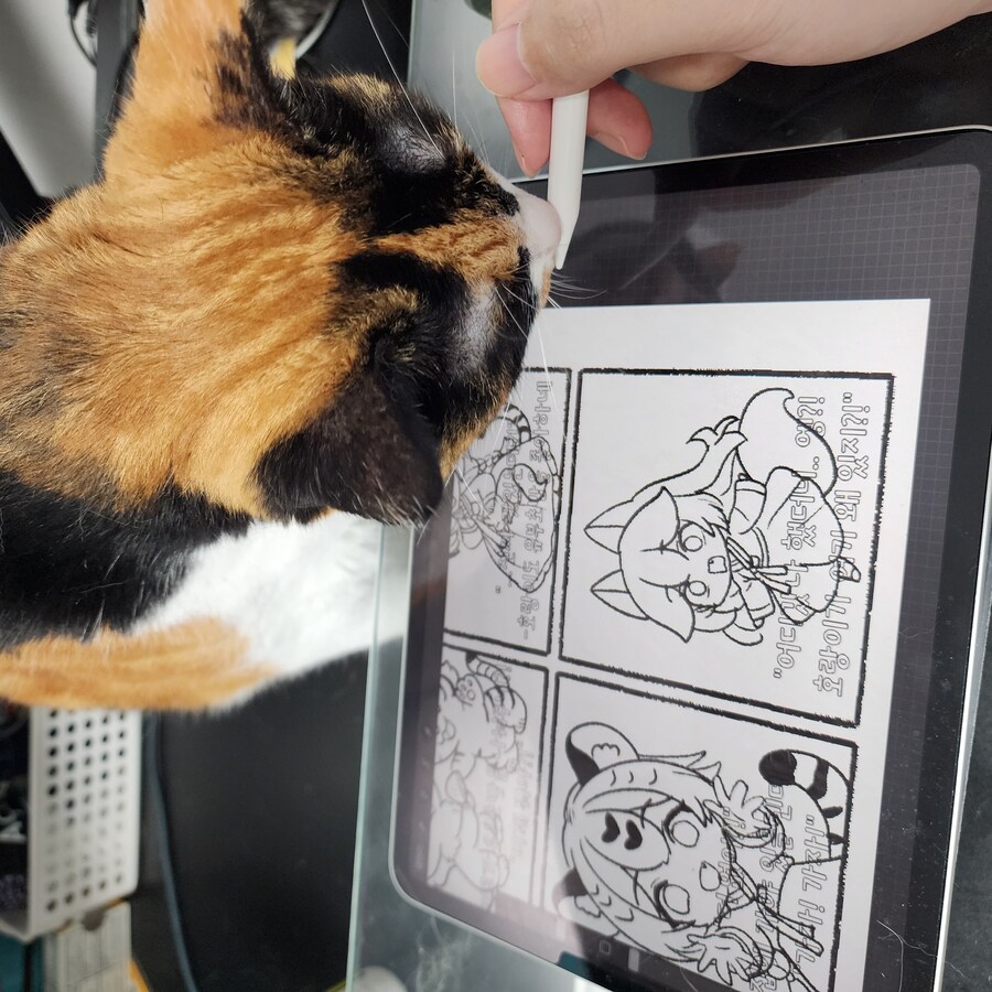 (고양이)베글 멈멍이 글 보고 써보는 우리 냥냥이 썰.._5.jpg