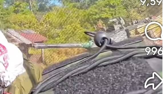 태국-캄보디아 전쟁에서 활약(?)중인 중국 전차 근황._1.png