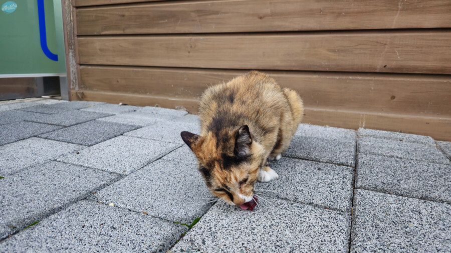 뭘 해도 재미없는 나이가 되어버렸습니다._46.jpg