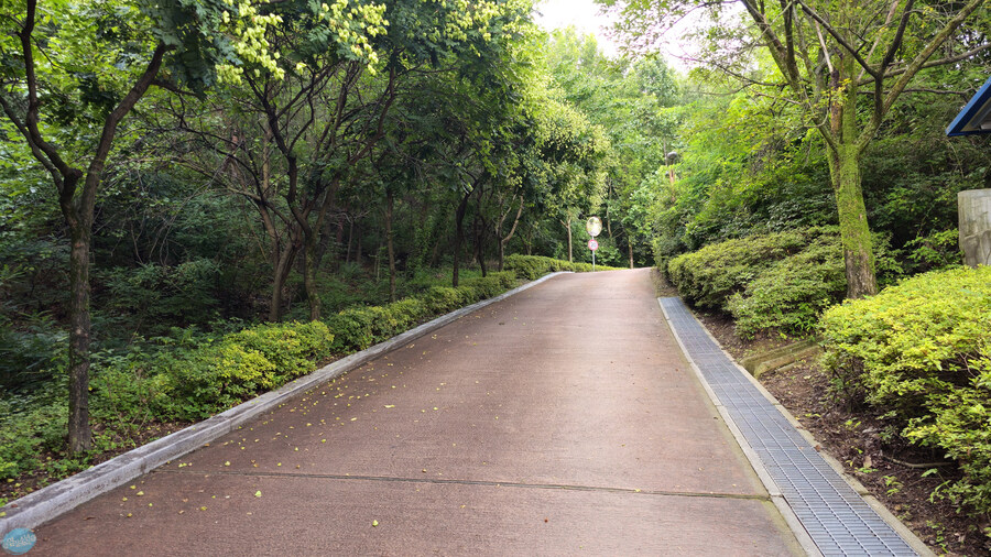 뭘 해도 재미없는 나이가 되어버렸습니다._64.jpg