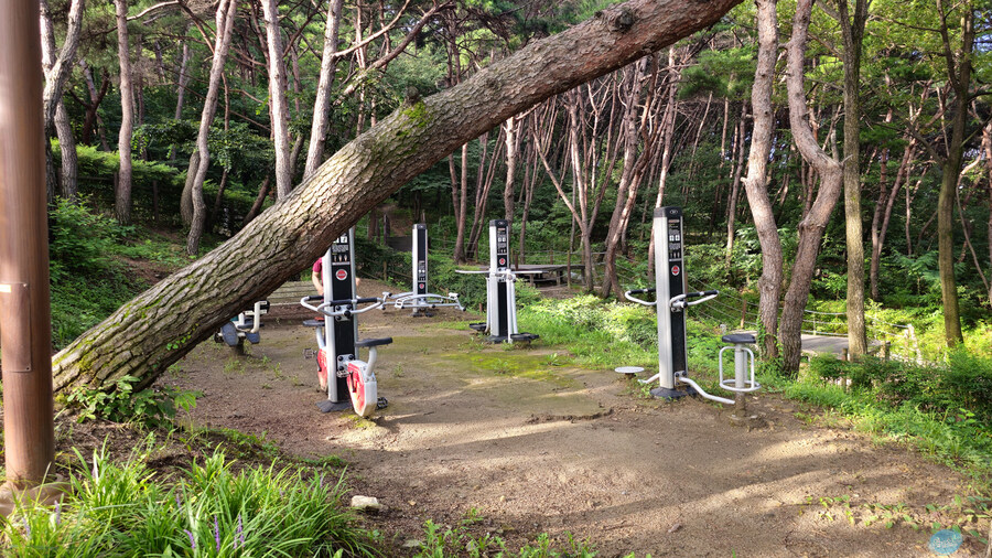 뭘 해도 재미없는 나이가 되어버렸습니다._78.jpg