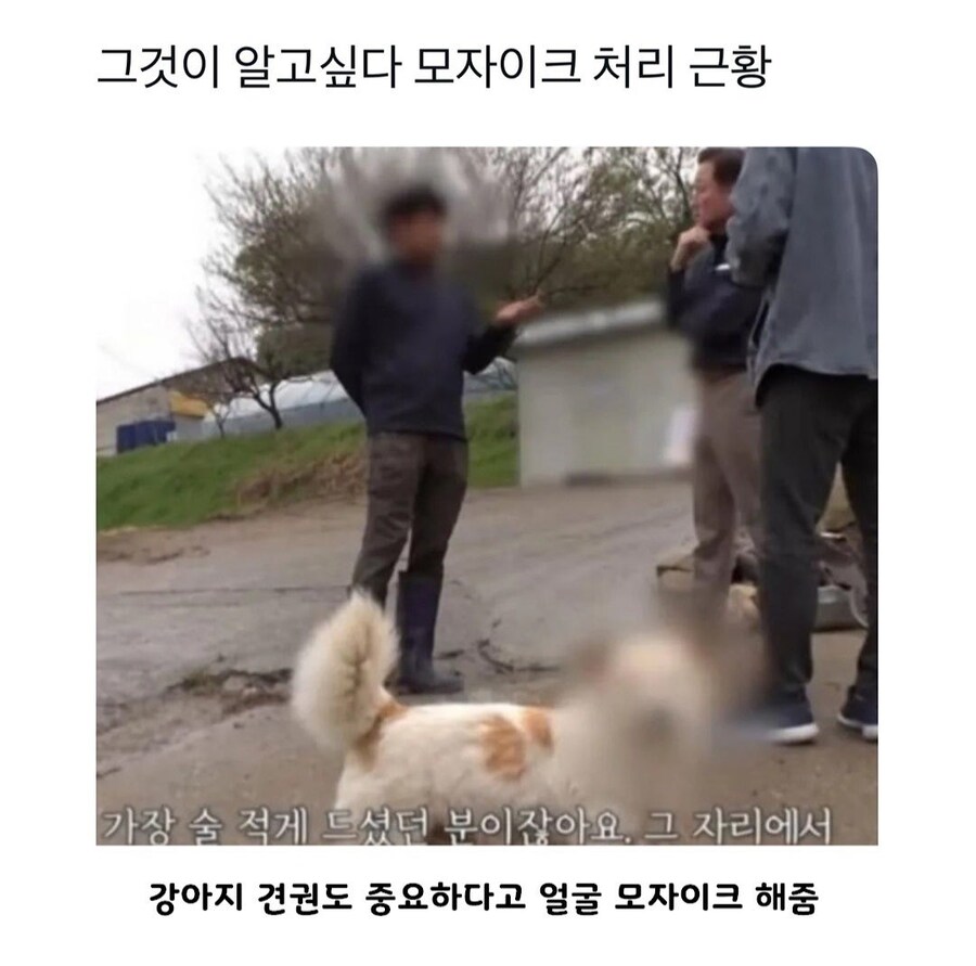 그것이알고싶당~ 모자이크 처리 근황.jpg_1.jpg