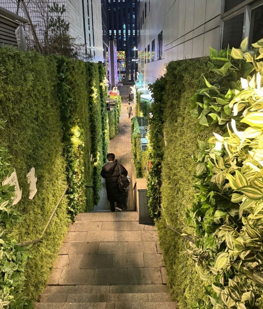 강남역 11번 출구 길목_1.jpg