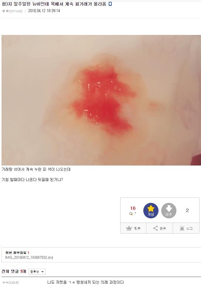 "게임을 즐길수록 뇌가 젊어진다."_2.jpg