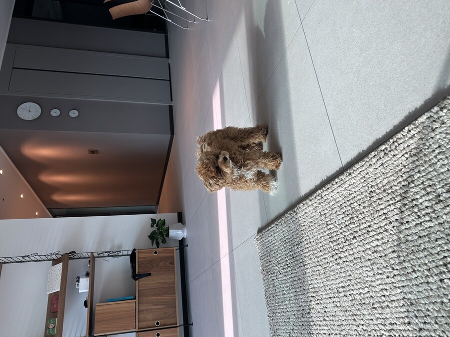 13년만에 자가가 생겼습니다..._7.jpg