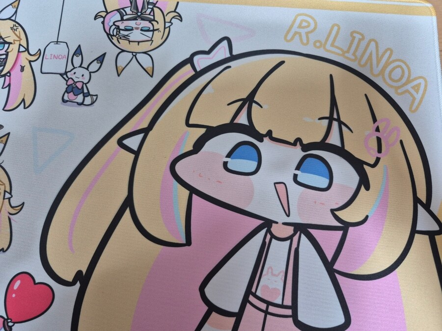 리노아 장패드 도착!_2.jpg