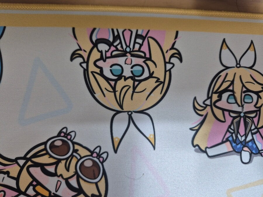 리노아 장패드 도착!_3.jpg