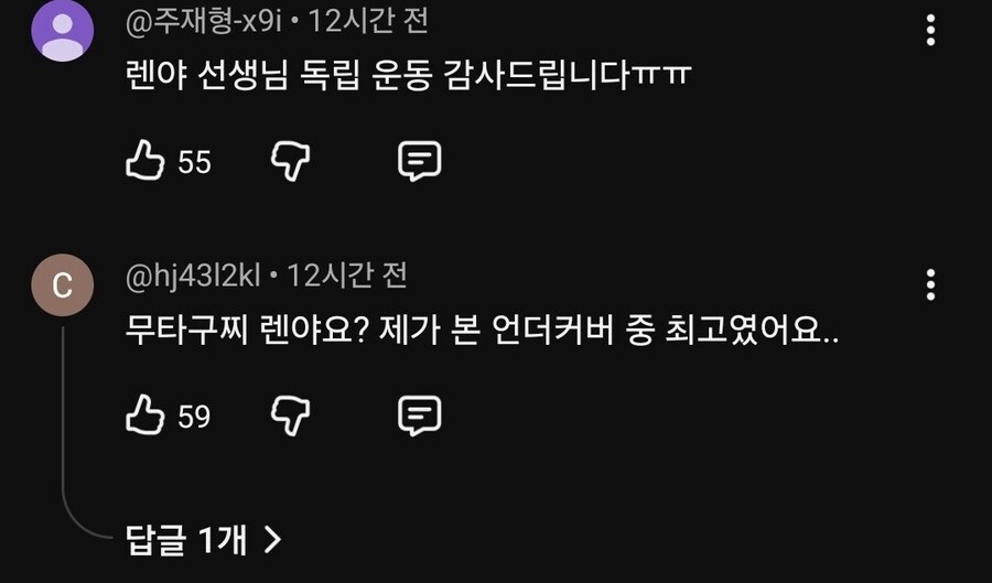 일본제국 징군을 찬양하는 유튜버.jpg_7.jpg