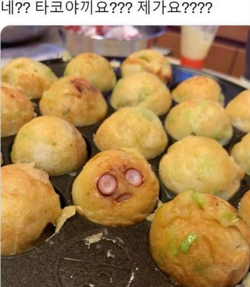 문어가 튀어나온 타코야끼_1.jpg