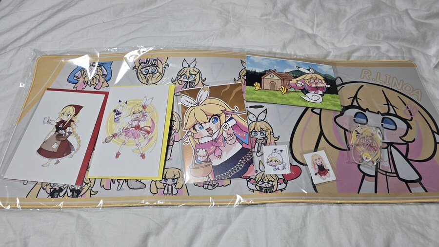 리노아 굿즈 도착_1.jpg