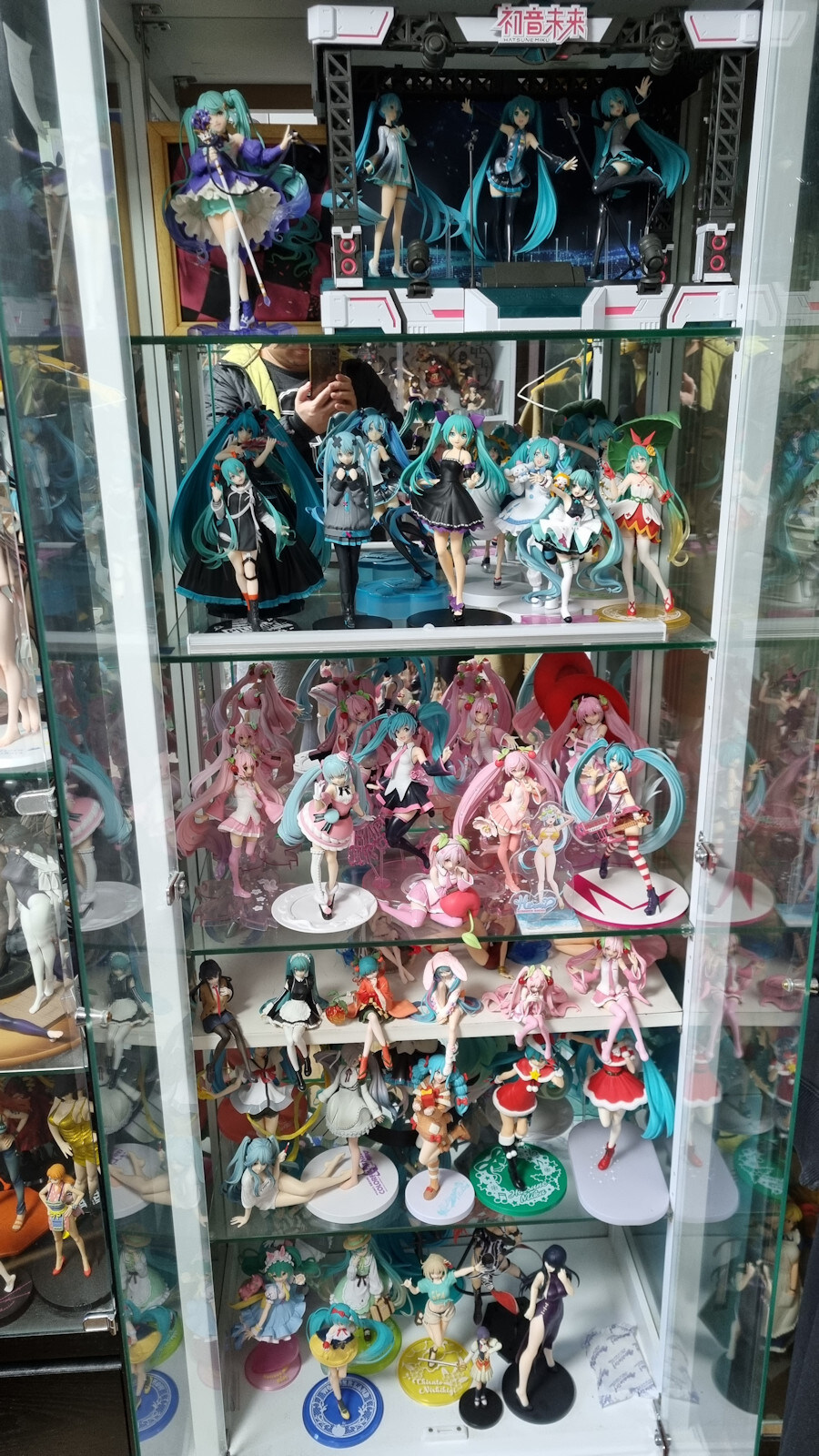 2025년 피규어 장식장 결산_2.jpg