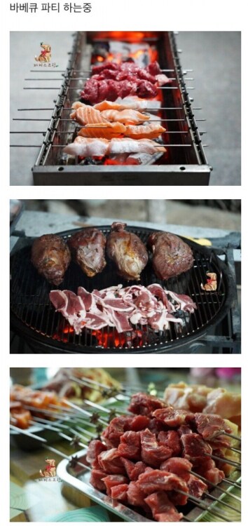 돈있는 주인들의 애견 라이프_5.png