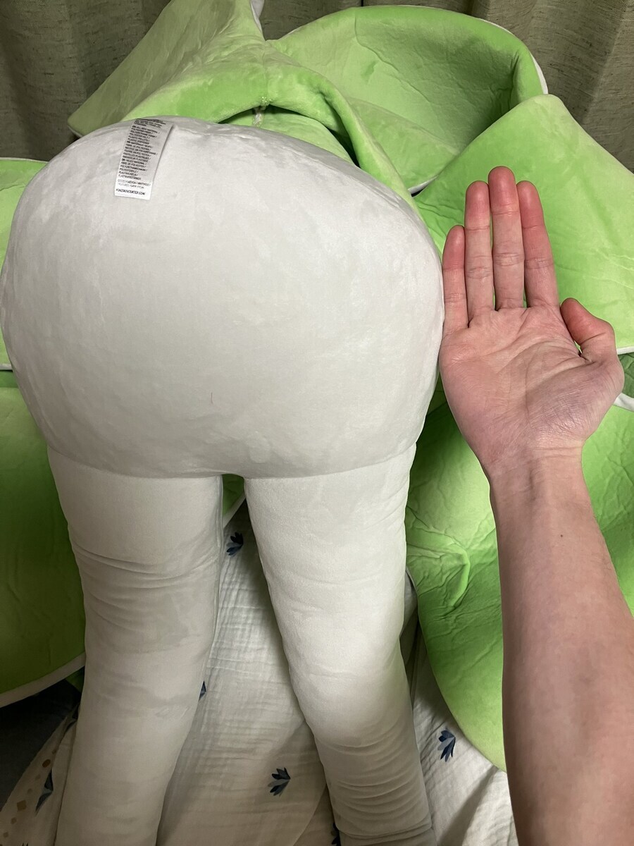 등신대 인형이 나온 가디안 특_4.jpg