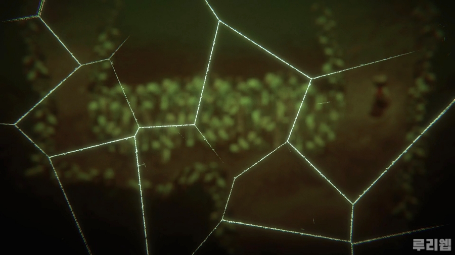 2025-12-23 12-45-27.mp4_snapshot_01.48.18_[2025.12.26_17.50.16].jpg