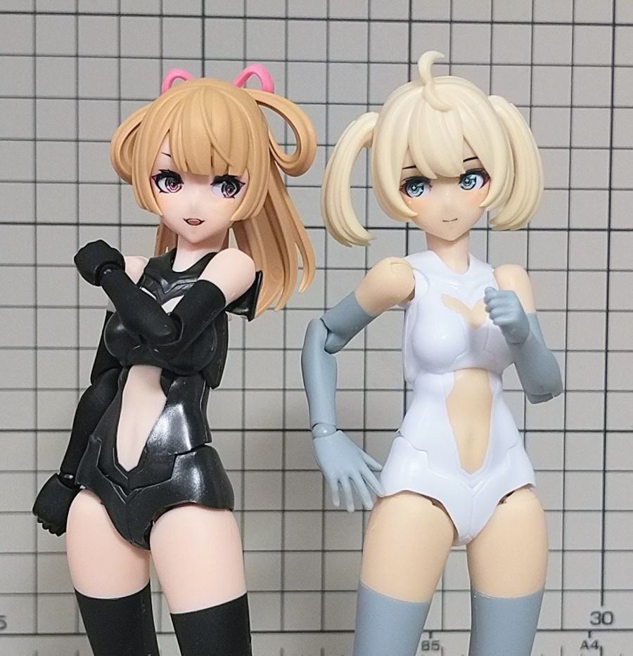 [코토부키야] B1R-M 섀시 키트 스킨 컬러 A / B 조합 사진 (후방 주의)_8.jpg