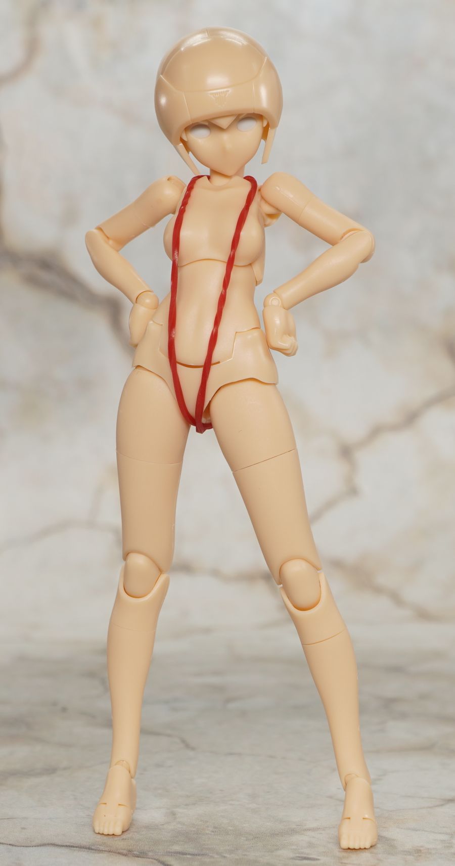 [코토부키야] B1R-M 섀시 키트 스킨 컬러 A / B 조합 사진 (후방 주의)_11.jpg